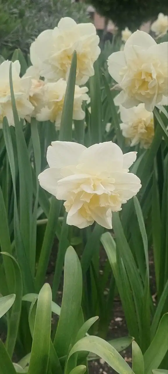 Фото 4