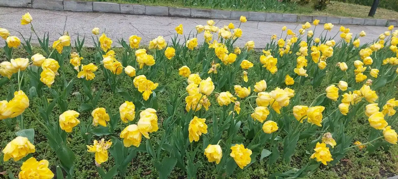 Фото 6