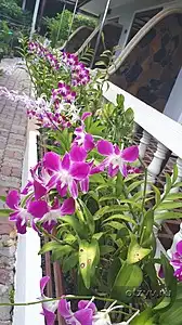 Фото 5